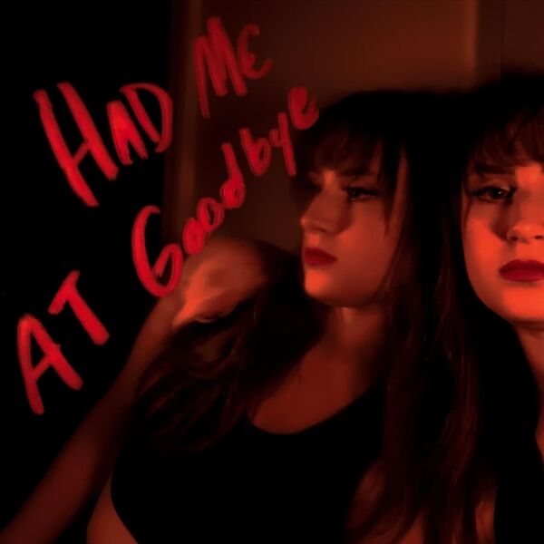 Cover art for Had Me at Goodbye